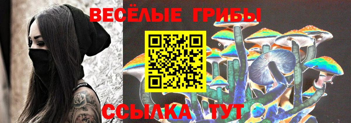 Псилоцибиновые грибы мицелий Чебоксары